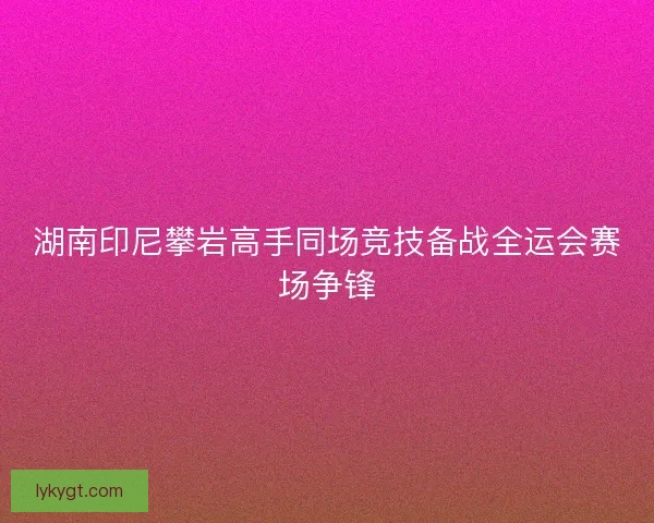 湖南印尼攀岩高手同场竞技备战全运会赛场争锋